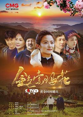 金色索玛花 第18集