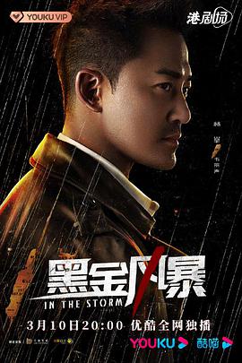 黑金风暴2022粤语 第30集(大结局)