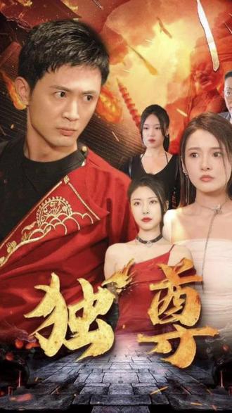 独尊 21-40集