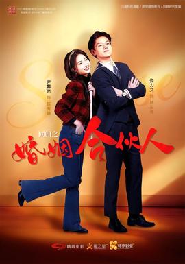 回归之婚姻合伙人(全集)