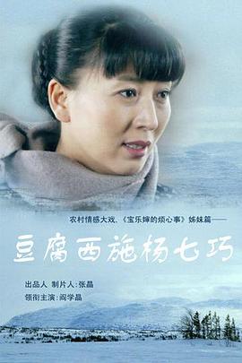 豆腐西施杨七巧 第9集